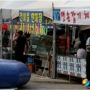 명품 참가자미 이미지