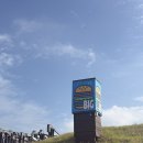 꽃담수제버거 | 제주도 맛집 성산일출봉 흑돼지버거 맛집 꽃담수제버거 후기