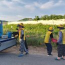 보통1리경로당 이미지