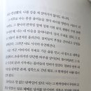 통권 124호(2025년 11- 12월호) 신인상 당선자 -김정덕 -물비늘의 언어-햇살이 말을 걸때 이미지