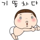 해오름 태권도장 이미지