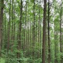 무악정 화장실 이미지