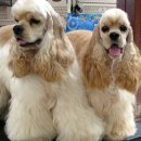 모모의여름 이미지