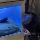 남덕화 이미지