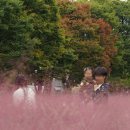 미사경정공원 이미지