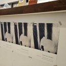 스마트폰으로 찍는 사진반 이미지