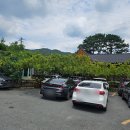단감주유소 | 20260728. 엄마랑 가창 드라이브 청도 각북 헐티로 맛집 점심 데이트 <불로장수식당> 연입밥 맛집 주차...