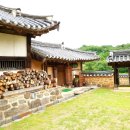 고택 수련 이미지