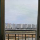 강변3급부분정비 | 울산강변이편한세상 반구동 발수코팅미세방충망 교체 시공 :: 방충망 차이 TIP