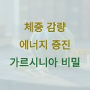 열매점핑허브다이어트 | 가르시니아 캡슐의 체중 관리와 에너지 증진 효과
