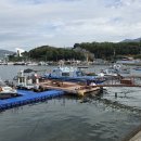 남파랑길 7코스와 8코스 이미지