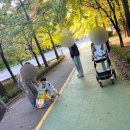 대동보조기 이미지