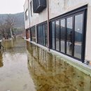 충남 보령의 유명한 카페 갱스, 솔직후기..