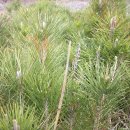 학구농장 이미지