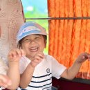 백두산 목장 이미지