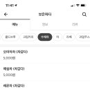 보은특별시