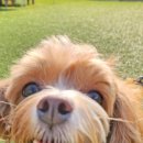 멍펜션8 이미지