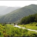 죽장1교 옆 이미지