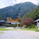 반야사