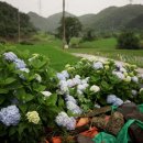 효동1리 이미지