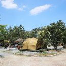 양양고인돌캠프 이미지