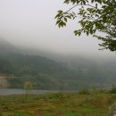 산들바람 이미지