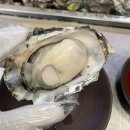 산오징어회무침 | 인천 계산동 굴찜 맛집[산오징어 비빔회 양푼무침]4년째 재방문 후기 웨이팅 꿀팁