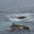 바다향기로 이미지