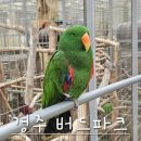 베이비파크 1호점 | [경북 경주] 버드파크-아기랑 갈만한곳, 새 먹이주기체험, 수유실정보, 다양한 동물 많아요!