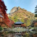 백양사 쌍계루 이미지