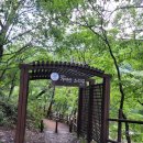 소리길 오토캠핑장 이미지