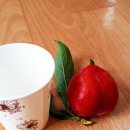 별득구 | diary 0624 # 육식주의자