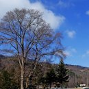 동진목장 이미지