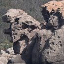 곰바위 앞 이미지