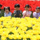 달이어린이집 이미지