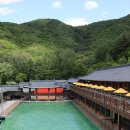 웰빙수영장 이미지