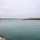 서귀포 맛집 당포회센터 제철 회 굿굿 이미지