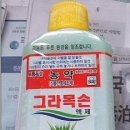 5년전 여주 그라목손 사건.jpg 이미지