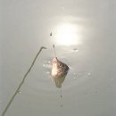 한평소류지 이미지