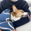 서울메이치과병원 이미지