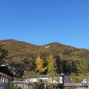 하대야동 이미지