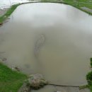 우리동내 이미지