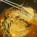 올바른숙성회