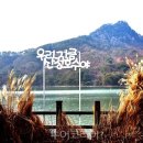 숲결 3,4 이미지