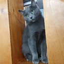 복자미장원 이미지