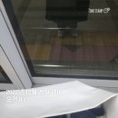 체인지업 안양범계점 | [12월 일상] not just anybody