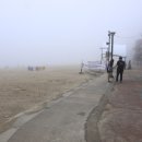 방아머리공원(솔밭) 이미지