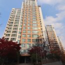 지성공인중개사사무소 이미지