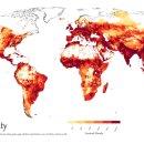 세계축산 이미지