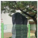 외삼초등학교 이미지